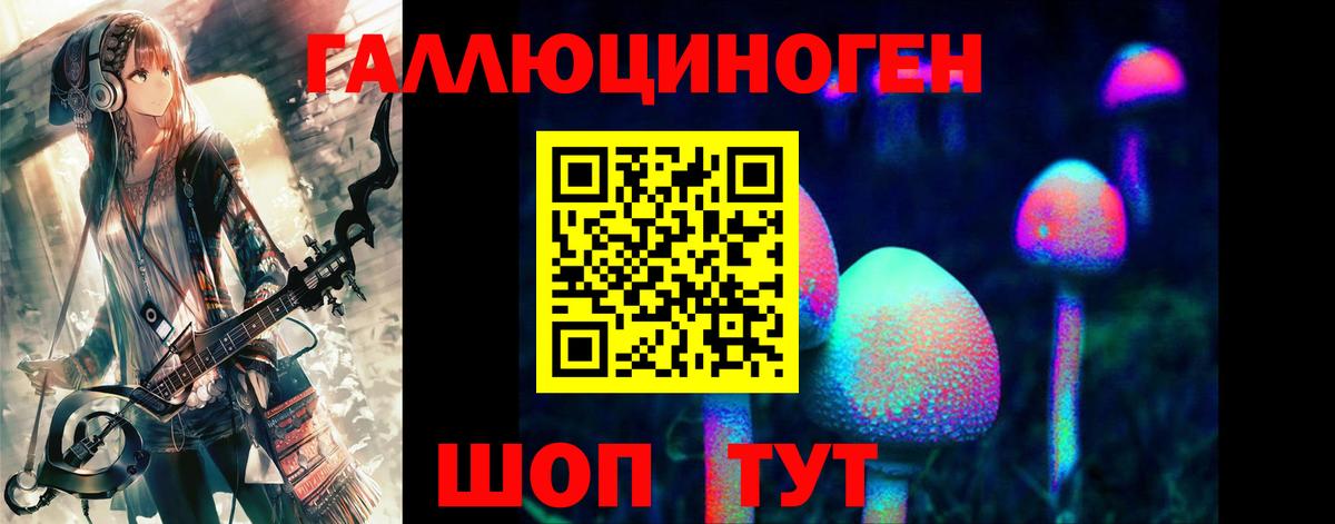 Галлюциногенные грибы Psilocybine cubensis Вязьма